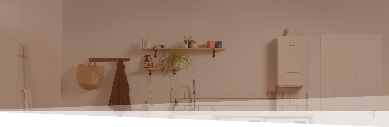 Gallery header image